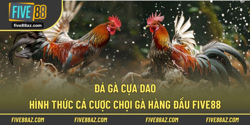 Đá Gà Cựa Dao