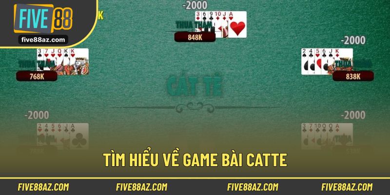 Khái quát đặc điểm và lối vận hành game bài catte
